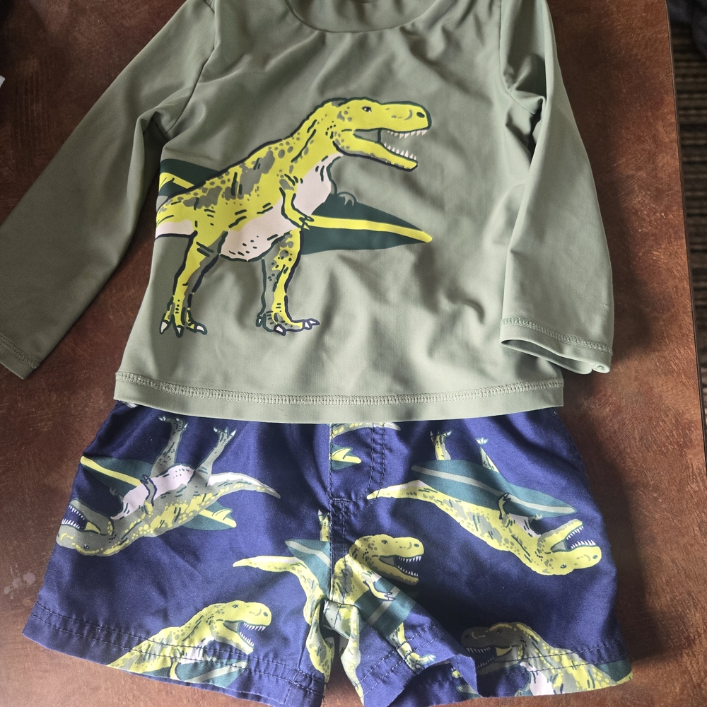 Carter's Dinosaur Swim Outfit 2 Piece-size 18mos EUC